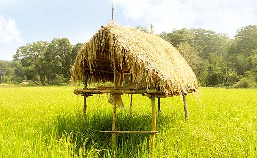 Kottathara Grama Panchayath Kottathara Wayanad