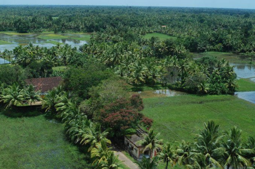 Pandanad Grama Panchayath Pandanad Alappuzha